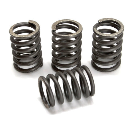 EBC CSK SPRING KITS (CSK109) - DRIVEN Canada's Powersports CSK109CSK109