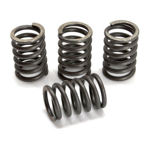 EBC CSK SPRING KITS (CSK124) - DRIVEN Canada's Powersports 058CSK124CSK124