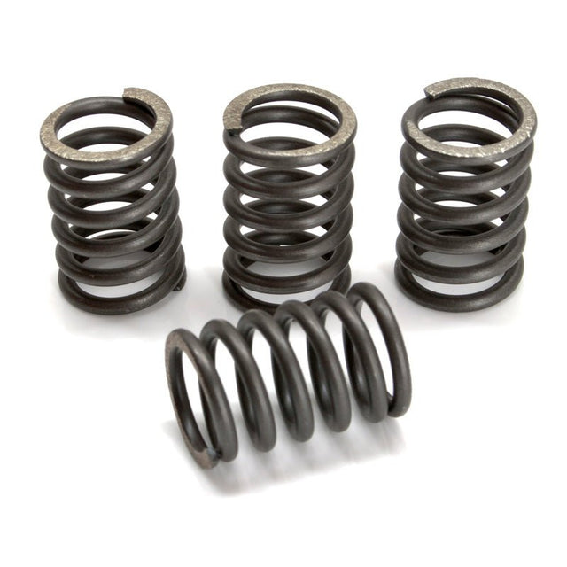 EBC CSK SPRING KITS (CSK142) - DRIVEN Canada's Powersports CSK142CSK142