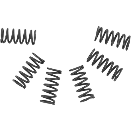 EBC CSK SPRING KITS (CSK2) - DRIVEN Canada's Powersports 058CSK2CSK2