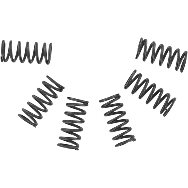 EBC CSK SPRING KITS (CSK2) - DRIVEN Canada's Powersports 058CSK2CSK2