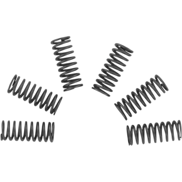 EBC CSK SPRING KITS (CSK32) - DRIVEN Canada's Powersports CSK32CSK32