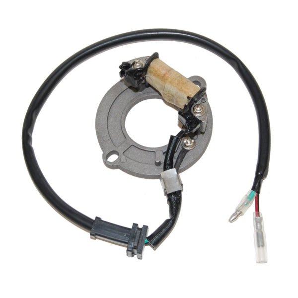 ELECTROSPORT STATOR (ESC1631) - DRIVEN Canada's Powersports 799804154209ESC1631