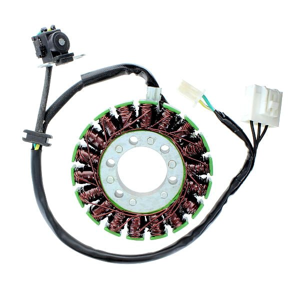 ELECTROSPORT STATOR (ESG113) - DRIVEN Canada's Powersports 799804162150ESG113