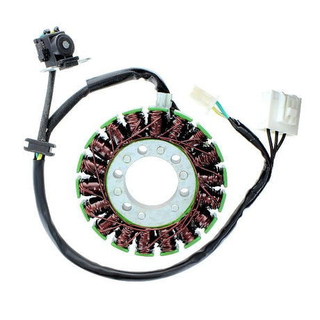 ELECTROSPORT STATOR (ESG113) - DRIVEN Canada's Powersports 799804162150ESG113