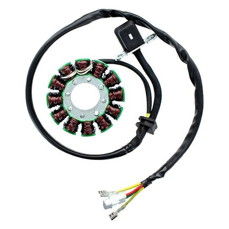 ELECTROSPORT STATOR (ESG169) - DRIVEN Canada's Powersports 0799804162129ESG169