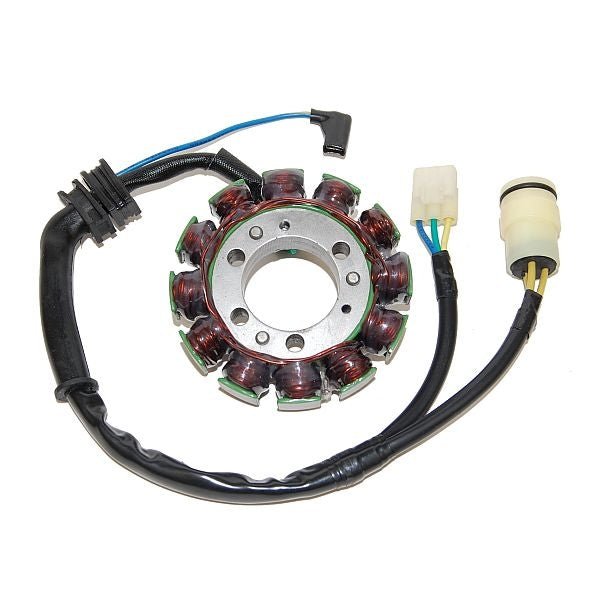 ELECTROSPORT STATOR (ESG482) - DRIVEN Canada's Powersports 799804155480ESG482