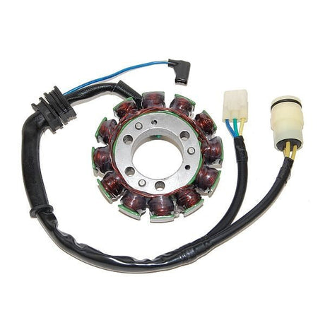 ELECTROSPORT STATOR (ESG482) - DRIVEN Canada's Powersports 799804155480ESG482