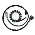 ELECTROSPORT STATOR (ESG549) - DRIVEN Canada's Powersports 799804161979ESG549