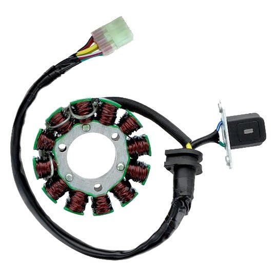 ELECTROSPORT STATOR (ESG728) - DRIVEN Canada's Powersports 0799804162204ESG728
