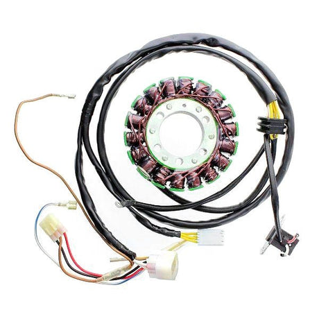 ELECTROSPORT STATOR (ESG803) - DRIVEN Canada's Powersports 799804156210ESG803