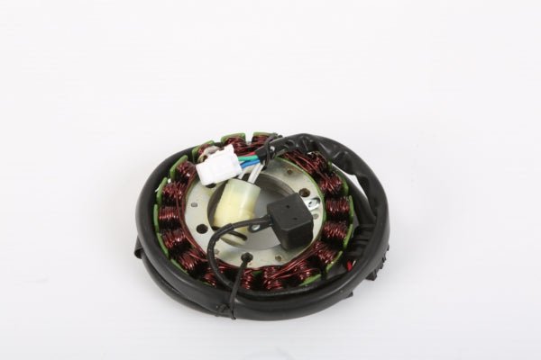 ELECTROSPORT STATOR (ESG941) - DRIVEN Canada's Powersports 799804156425ESG941