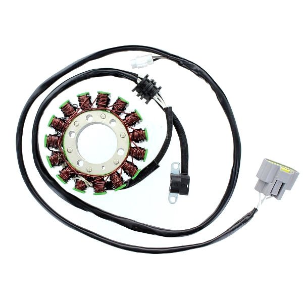 ELECTROSPORT STATOR (ESG943) - DRIVEN Canada's Powersports 799804162181ESG943