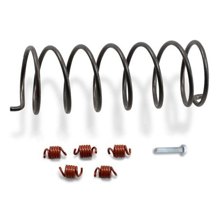 EPI CLUTCH KIT ECONOMY (WE490400) - DRIVEN Canada's Powersports WE490400WE490400