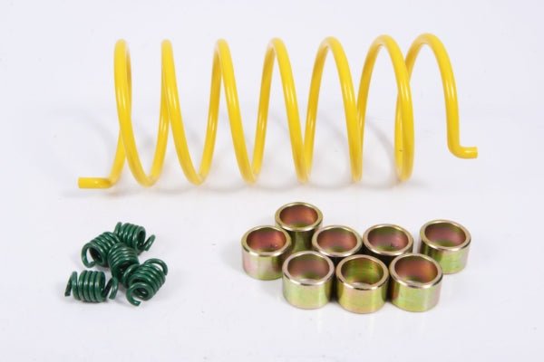 EPI CLUTCH KIT SPORT UTILITY (WE495025) - DRIVEN Canada's Powersports WE495025WE495025