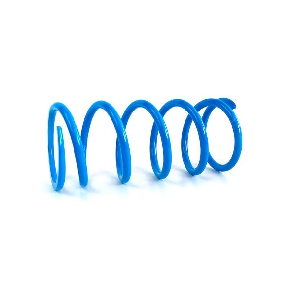 EPI PRIMARY CLUTCH SPRING (DRIVE) (CAPS3) - DRIVEN Canada's Powersports CAPS3CAPS3