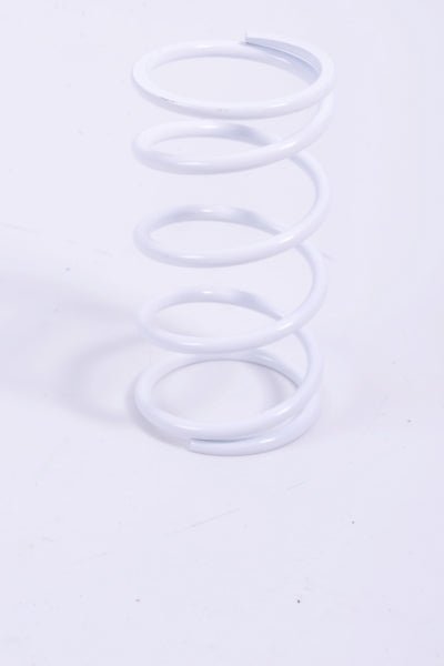 EPI PRIMARY CLUTCH SPRING (DRIVE) - DRIVEN Canada's Powersports SDPS - 3