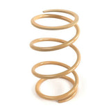 EPI PRIMARY CLUTCH SPRING - DRIVEN Canada's Powersports PATV20