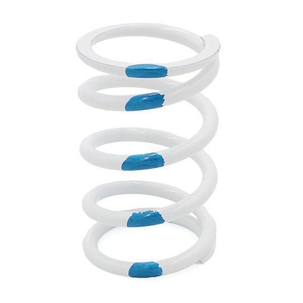 EPI PRIMARY CLUTCH SPRING - DRIVEN Canada's Powersports PATV28