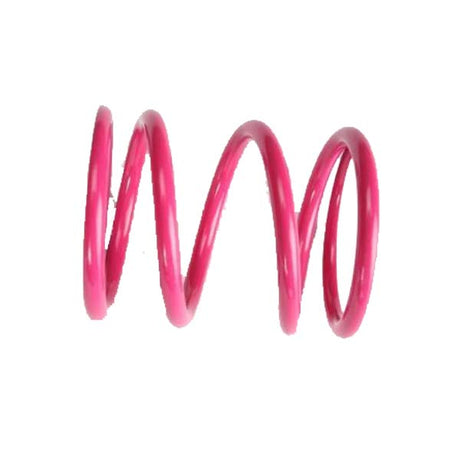 EPI SECONDARY CLUTCH SPRING (DRIVEN) - Driven Powersports Inc.PEBS11