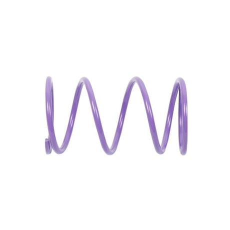 EPI SECONDARY CLUTCH SPRING (DRIVEN) - Driven Powersports Inc.PEBS14