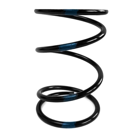 EPI SECONDARY CLUTCH SPRING (DRIVEN) (PEBS28) - DRIVEN Canada's Powersports PEBS28PEBS28
