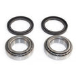 EPI WHEEL BEARING & SEAL KIT (WE301055) - DRIVEN Canada's Powersports WE301055WE301055