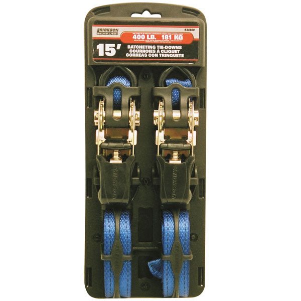 ERICKSON PROFESSIONAL SERIES RATCHET TIE DOWN 2PK (34400) - DRIVEN Canada's Powersports 06438334400734400