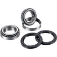 FACTORY LINKS AXLE BEARING KIT REAR (ARA - P - 007) - DRIVEN Canada's Powersports 3000000015612ARA - P - 007