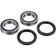 FACTORY LINKS AXLE BEARING KIT REAR (ARA - S - 002) - DRIVEN Canada's Powersports 3000000015674ARA - S - 002