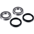FACTORY LINKS AXLE BEARING KIT REAR (ARA - Y - 010) - DRIVEN Canada's Powersports 3000000015759ARA - Y - 010