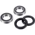 FACTORY LINKS AXLE BEARING KIT REAR (ARA - Y - 011) - DRIVEN Canada's Powersports 3000000015766ARA - Y - 011