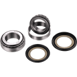 FACTORY LINKS STEERING REBUILD KIT (SSK - H - 398) - DRIVEN Canada's Powersports 3000000013823SSK - H - 398