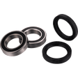 FACTORY LINKS WHEEL BEARING KIT FRONT REAR - DRIVEN Canada's Powersports FWK - T - 029