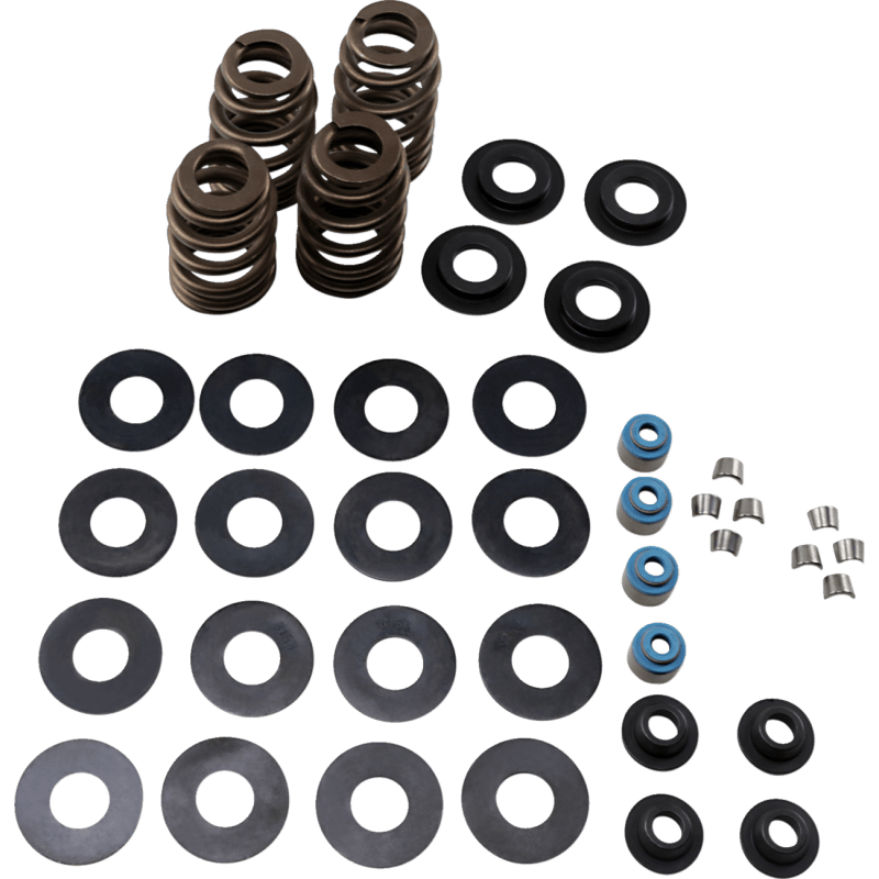 FEULING OIL PUMP CORP. 05 - 17 B/T ECONO BEE HIVE V/SPRING KIT (1121) - DRIVEN Canada's Powersports 1121