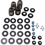 FEULING OIL PUMP CORP. 05 - 17 B/T ECONO BEE HIVE V/SPRING KIT (1121) - DRIVEN Canada's Powersports 1121