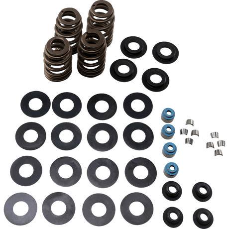 FEULING OIL PUMP CORP. 05 - 17 B/T ECONO BEE HIVE V/SPRING KIT (1121) - DRIVEN Canada's Powersports 1121