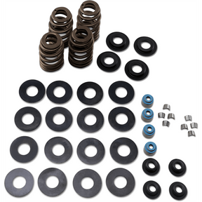 FEULING OIL PUMP CORP. 05 - 17 B/T ECONO BEE HIVE V/SPRING KIT (1121) - DRIVEN Canada's Powersports 1121