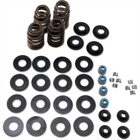 FEULING OIL PUMP CORP. 05 - 17 B/T ECONO BEE HIVE V/SPRING KIT (1121) - DRIVEN Canada's Powersports 1121