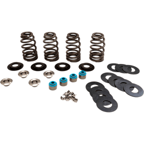 FEULING OIL PUMP CORP. VALVE SPRINGS ECONO TC (1123) - DRIVEN Canada's Powersports 1123