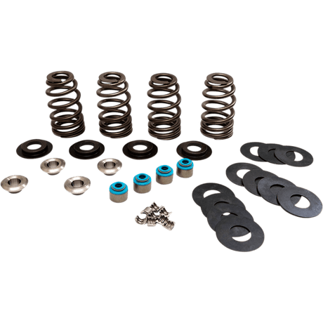 FEULING OIL PUMP CORP. VALVE SPRINGS ECONO TC (1123) - DRIVEN Canada's Powersports 1123