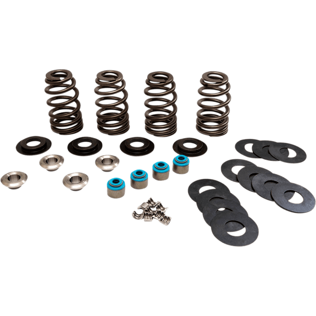 FEULING OIL PUMP CORP. VALVE SPRINGS ECONO TC (1123) - DRIVEN Canada's Powersports 1123