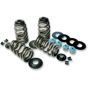 FEULING OIL PUMP CORP. 85 - 04 B/T ECONO BEEHIVE V/SPRING KIT (1120) - DRIVEN Canada's Powersports 1120