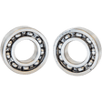 FEULING OIL PUMP CORP. 99 - 06 B/T OUT BRGS F/CAMPLATES (PR) - DRIVEN Canada's Powersports 2075