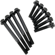 FEULING OIL PUMP CORP. BOLT KIT CAM/OIL PUMP 17 - 18 M8 (8022) - DRIVEN Canada's Powersports 8022