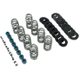 FEULING OIL PUMP CORP. VALVE SPRINGS BHIVE 17 - 19 M8 (1107) - DRIVEN Canada's Powersports 1107