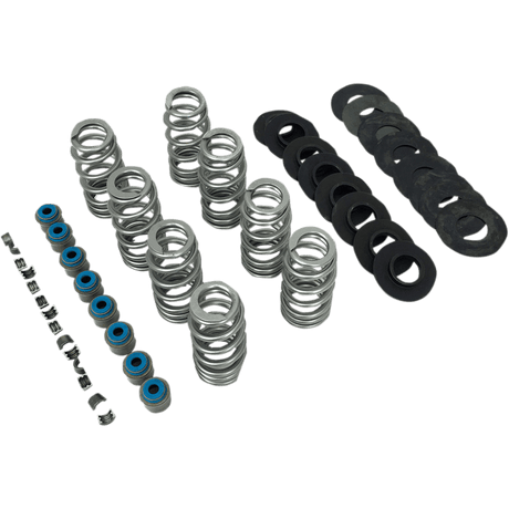 FEULING OIL PUMP CORP. VALVE SPRINGS BHIVE 17 - 19 M8 (1107) - DRIVEN Canada's Powersports 1107