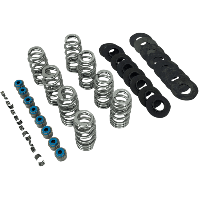 FEULING OIL PUMP CORP. VALVE SPRINGS BHIVE 17 - 19 M8 (1107) - DRIVEN Canada's Powersports 1107