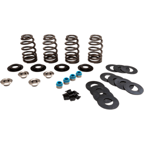 FEULING OIL PUMP CORP. VALVE SPRINGS ECONO TC (1122) - DRIVEN Canada's Powersports 1122