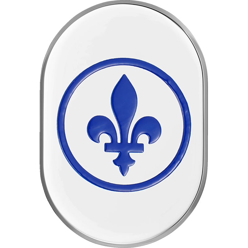 FIGURATI DESIGNS BLUE FLEUR - DE - LIS ANTENNA COVER LEFT - DRIVEN Canada's Powersports FD05 - AC - SS - LT